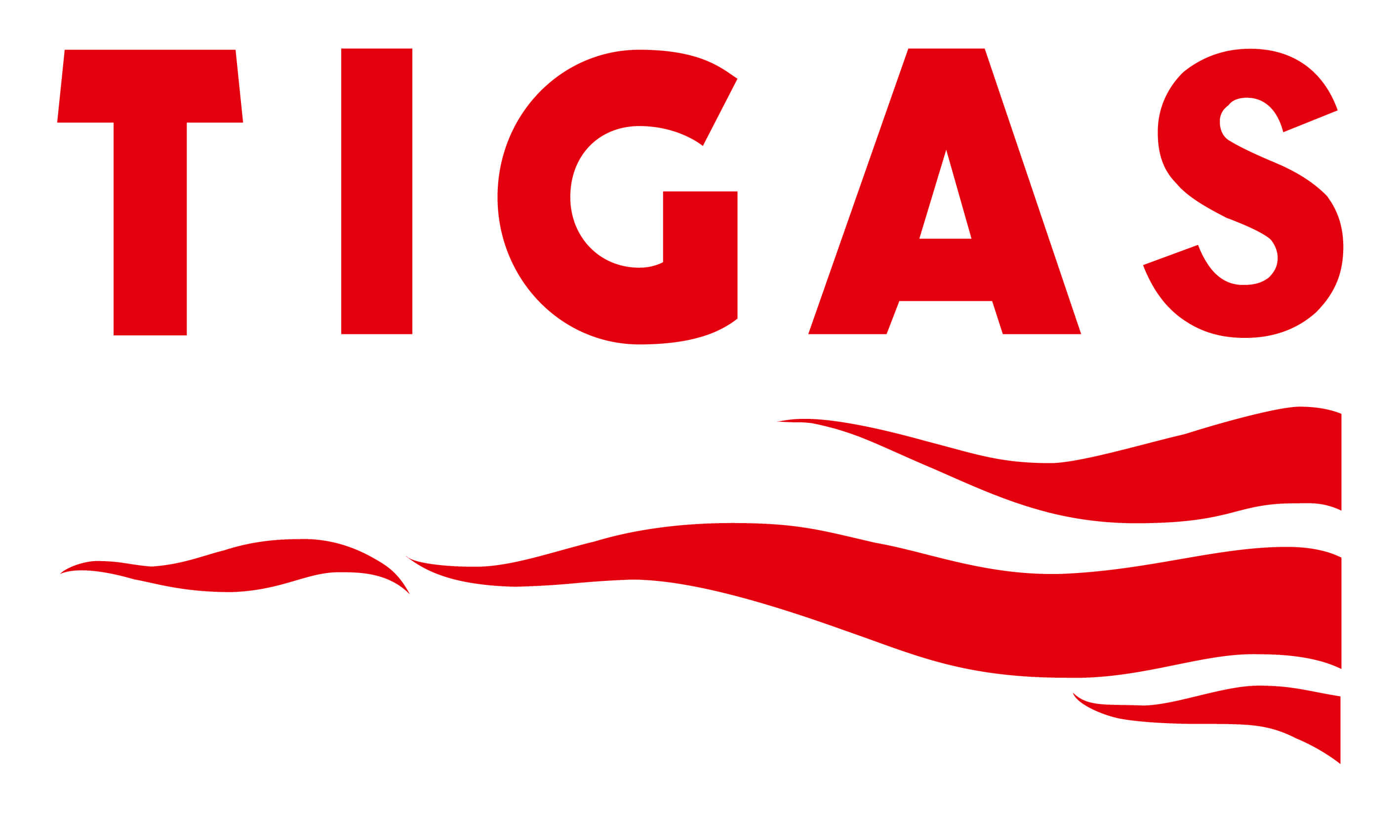 Tigas logo