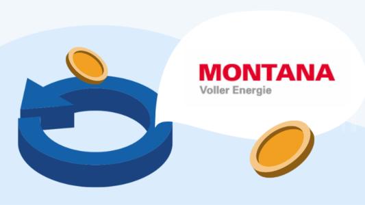 Montana Logo und Wechselservice